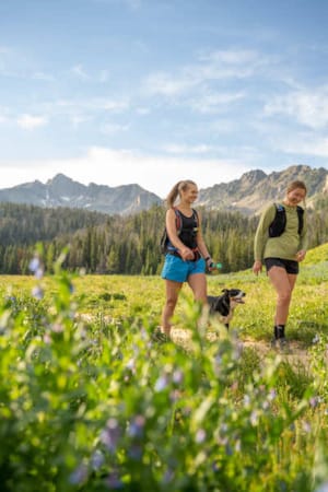 Two women and a dog hiking surrounded by wildflowers