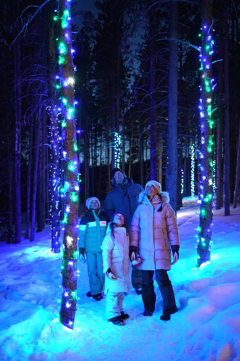 Family walking through the Enchanted Forest