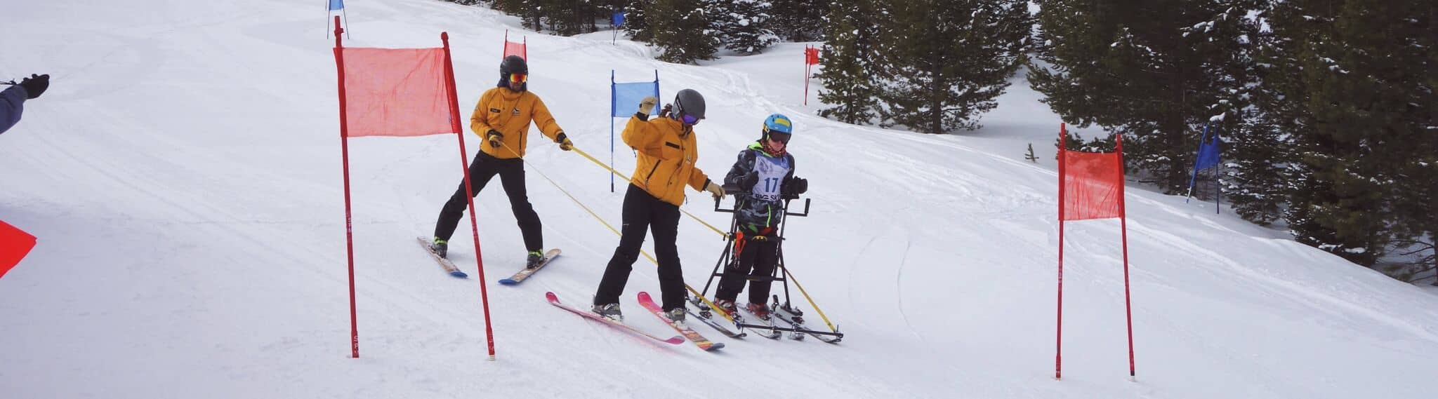 Paralympic Skier