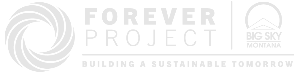 Forever Project Logo