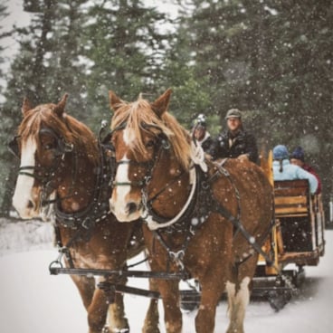 Sleigh Ride Preview Image